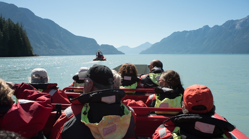 Campbell River Whale Watching & Adventure Tours | Boleyn Media