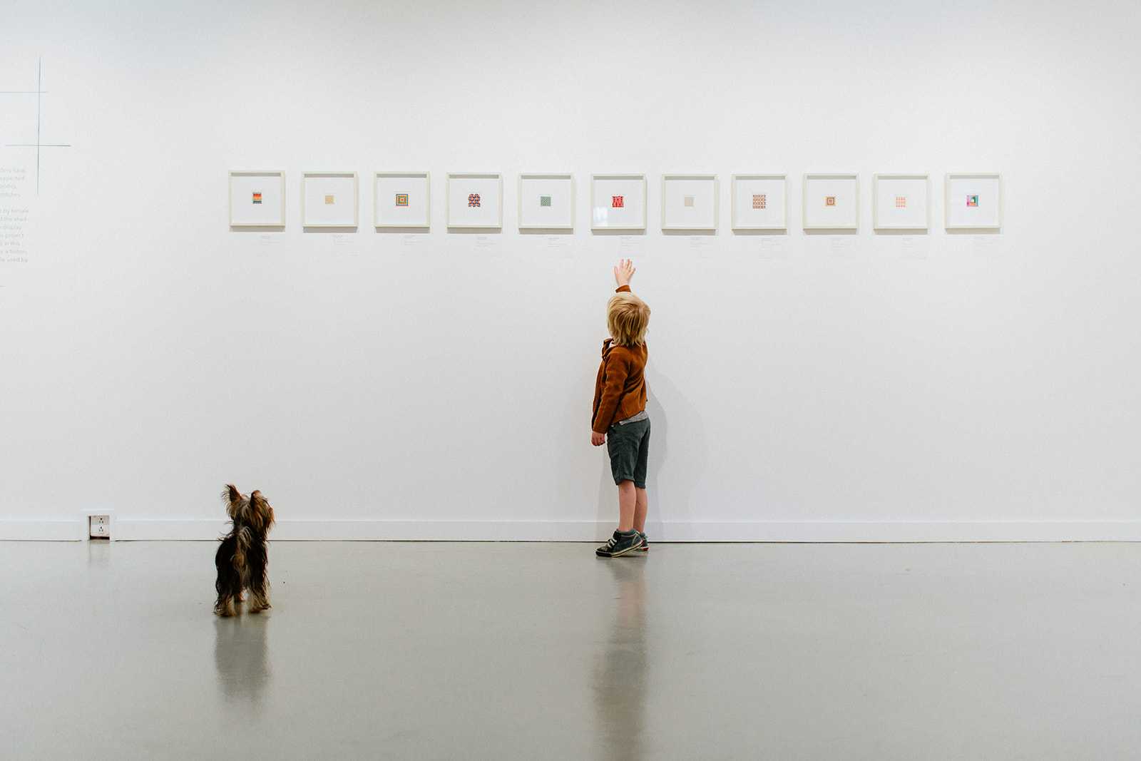 Campbell River Art Gallery | Boleyn Media