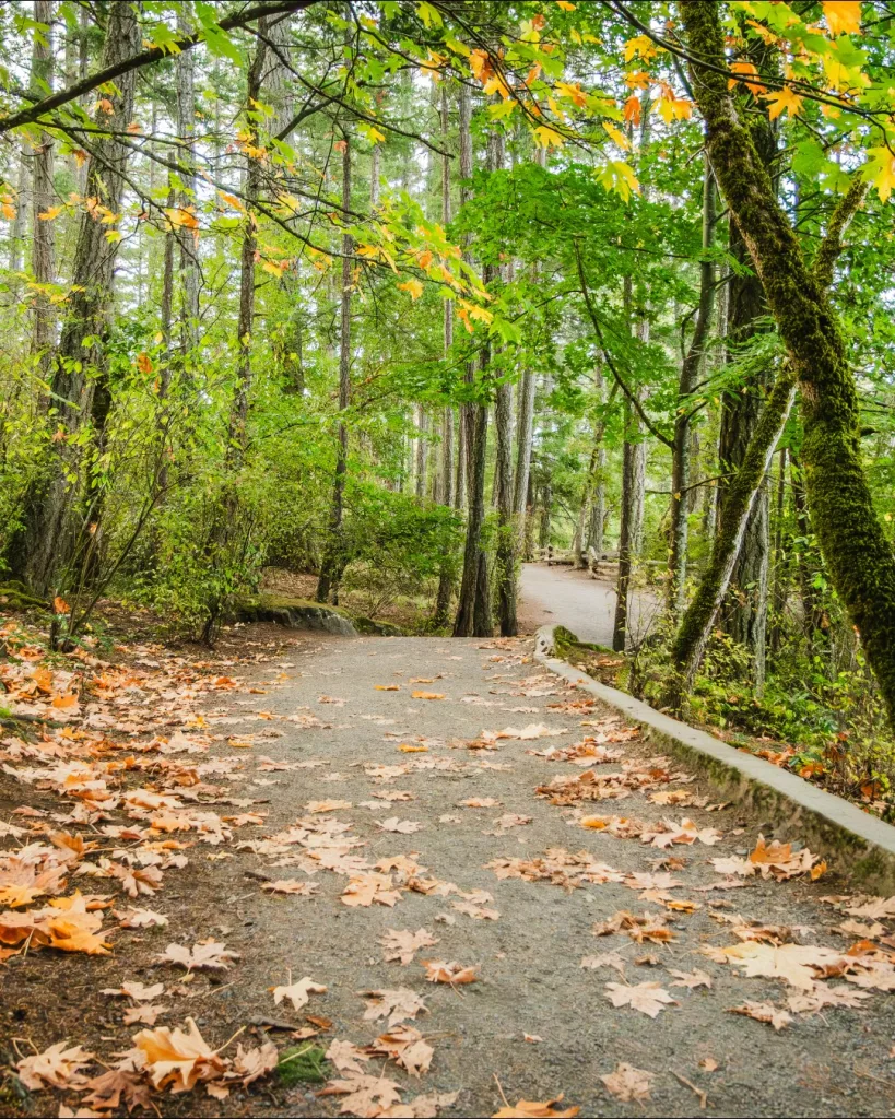 Capital Regional District | Boleyn Media