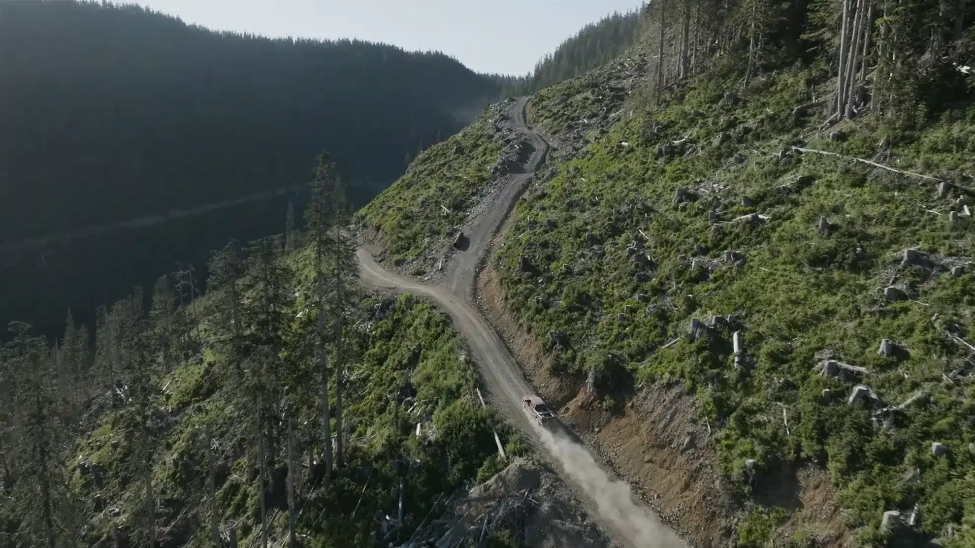 Cypress Creek | Boleyn Media