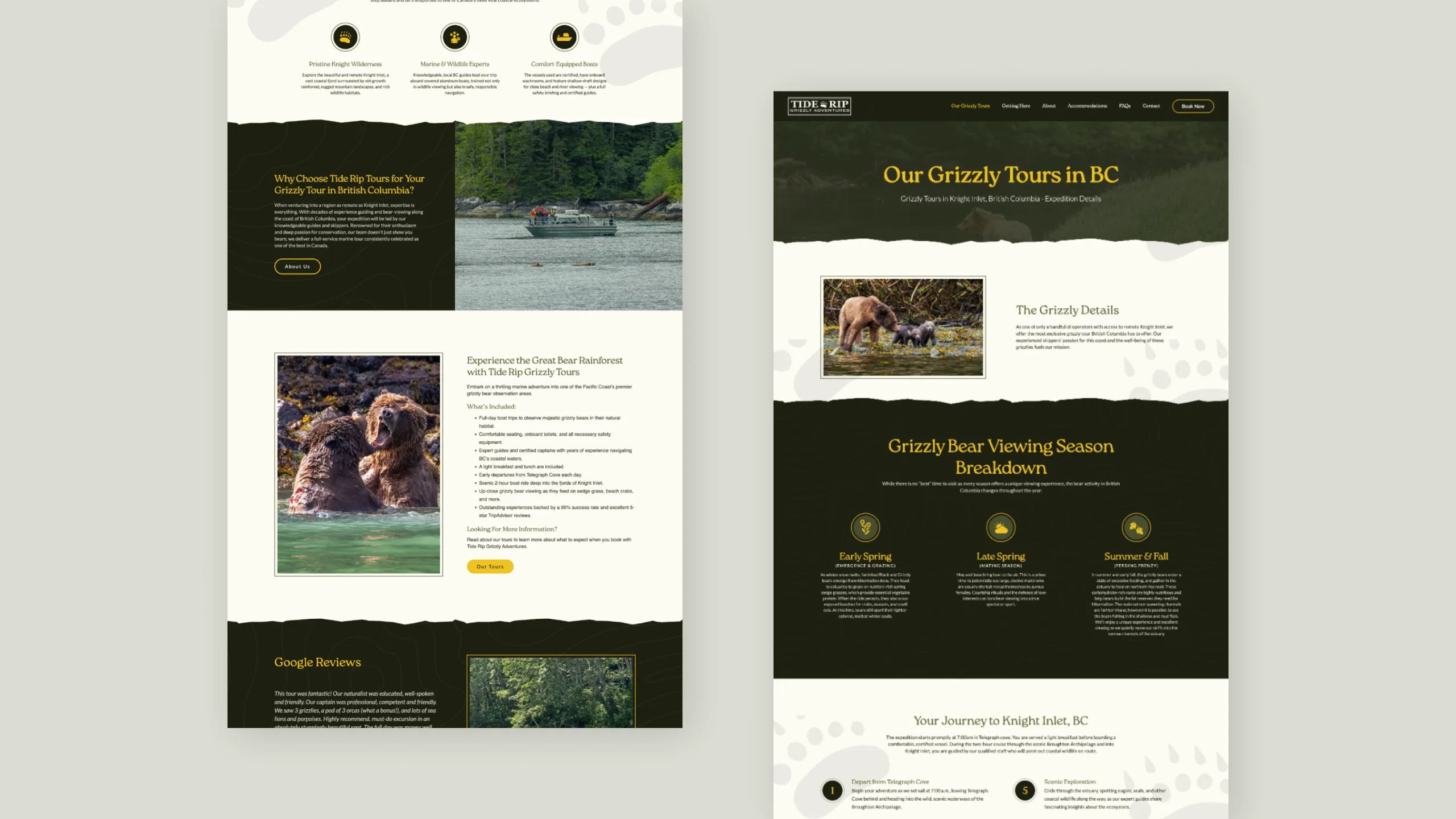 Tide Rip Grizzly Tours | Website