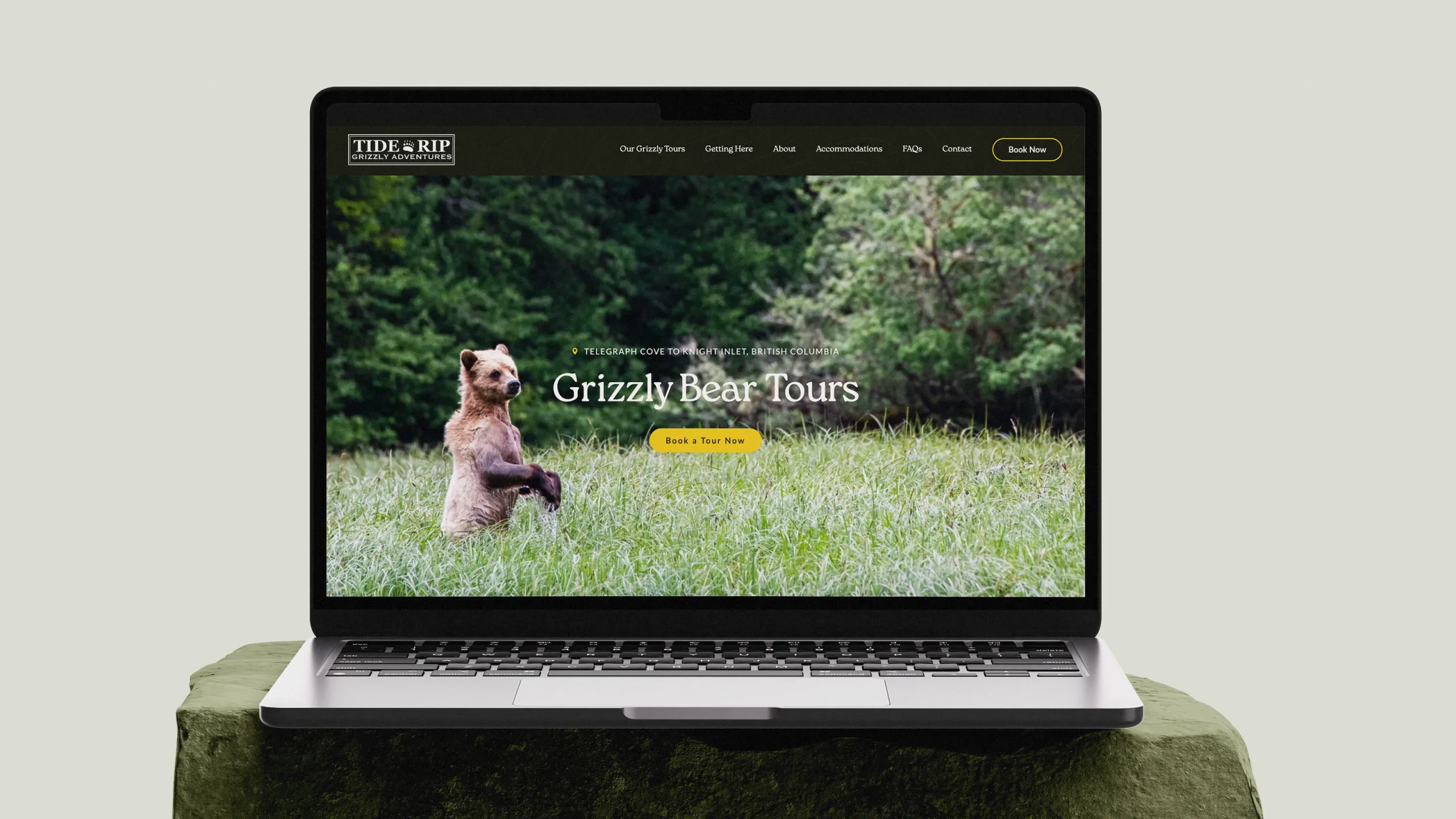 Tide Rip Grizzly Tours | Website
